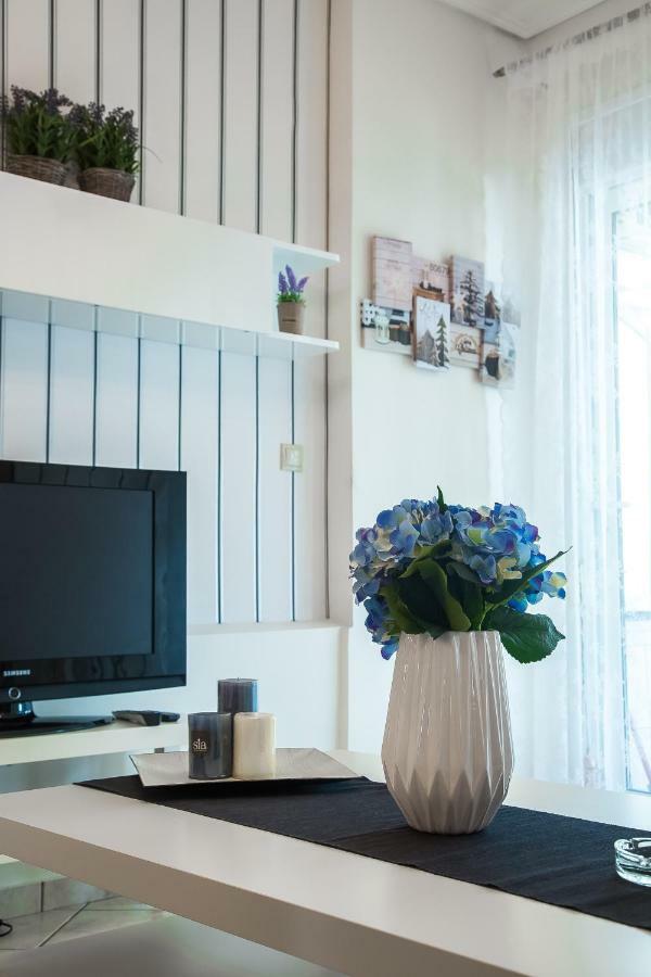 Luxury City Center Apartment Kalampáka Buitenkant foto